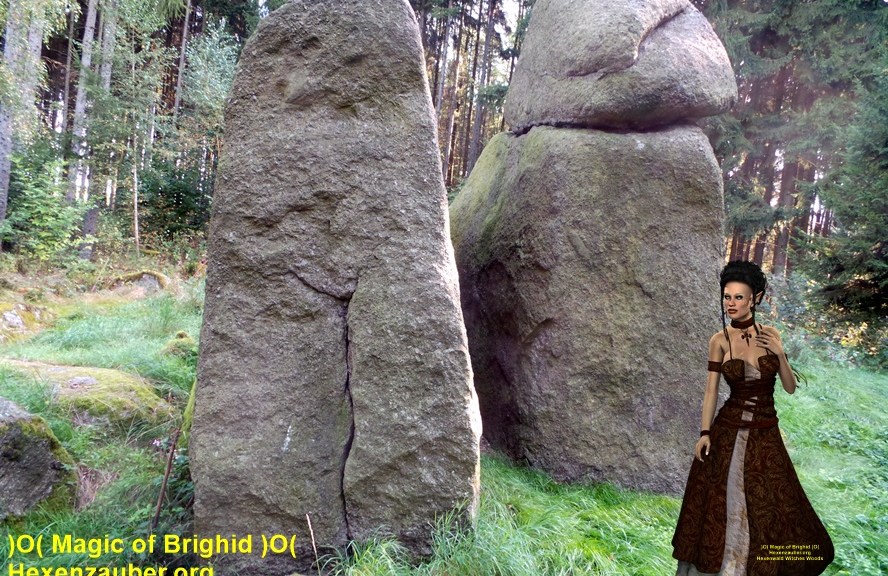 zauberwald, magischer wald